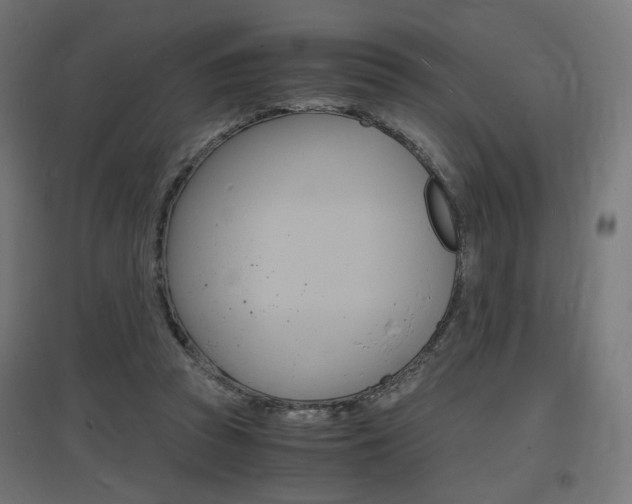 X0000097620353200802290825