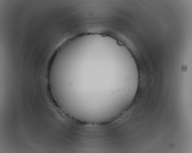 X0000097620354200802290825