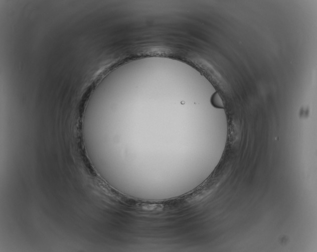 X0000097620355200802290825