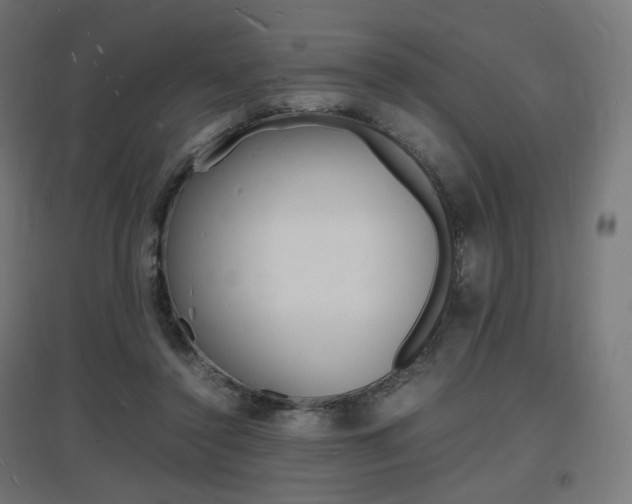 X0000097620356200802290825