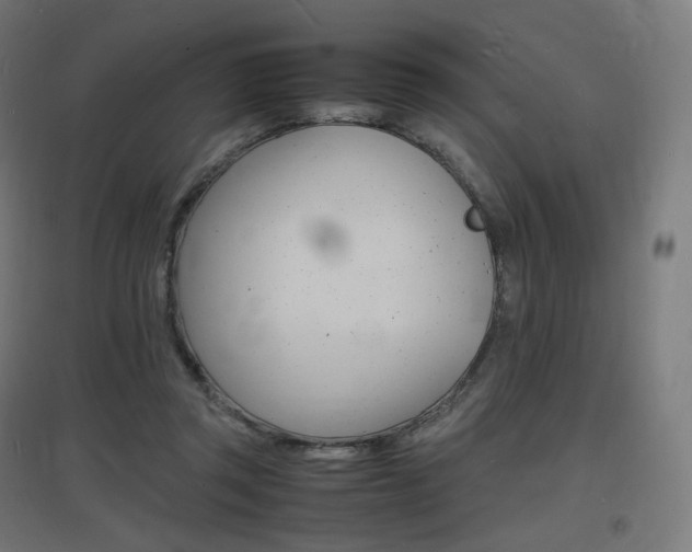X0000097620357200802290825
