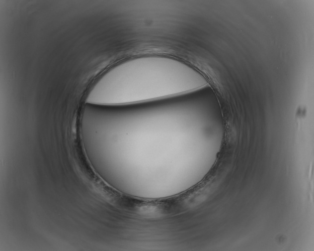 X0000097620358200802290825
