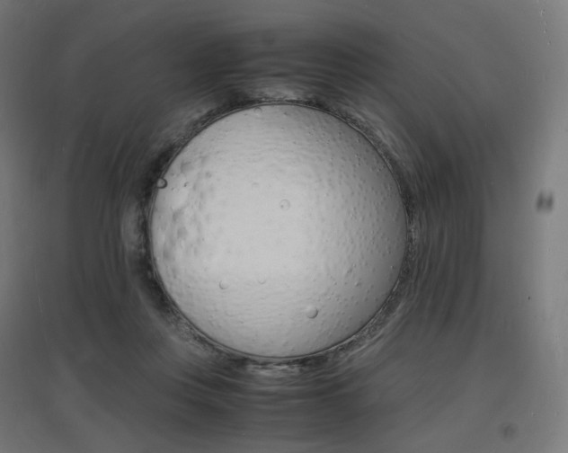 X0000097620359200802290825