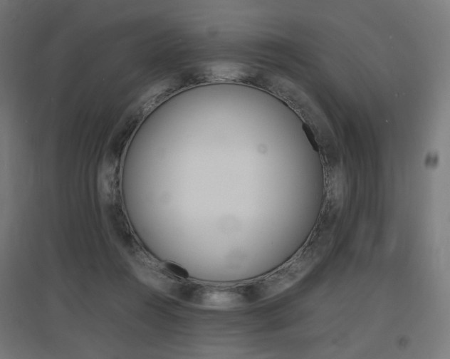 X0000097620360200802290825