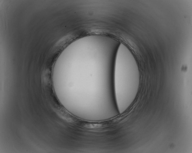 X0000097620361200802290825