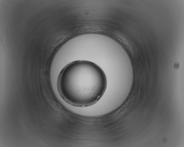 X0000097620362200802290825