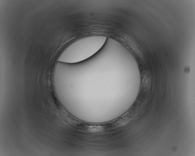 X0000097620363200802290825