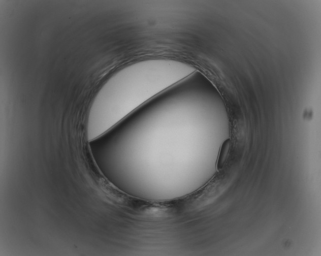 X0000097620364200802290825