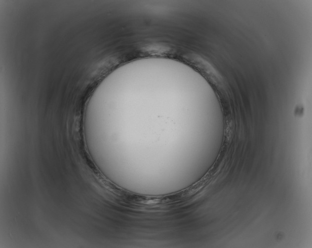 X0000097620365200802290825