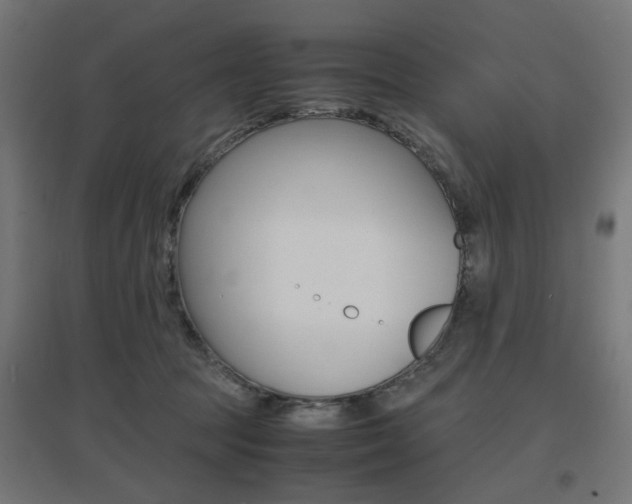 X0000097620369200802290825