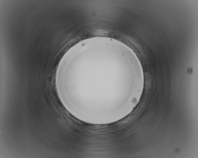 X0000097620370200802290825