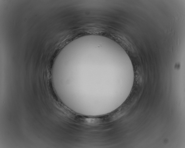 X0000097620371200802290826