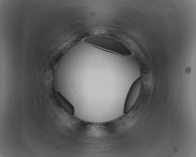 X0000097620372200802290826