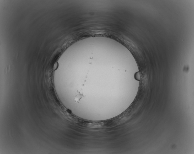 X0000097620373200802290826