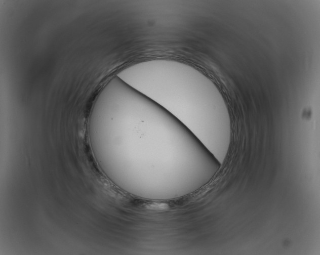 X0000097620374200802290826