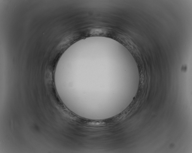 X0000097620375200802290826
