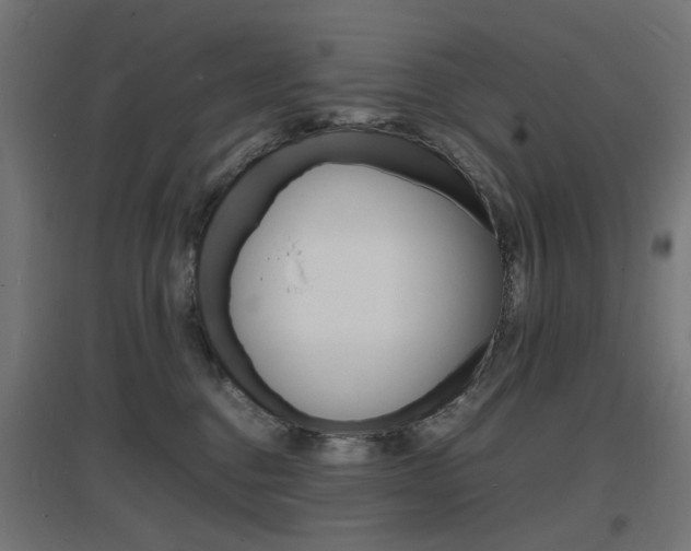 X0000097620376200802290826