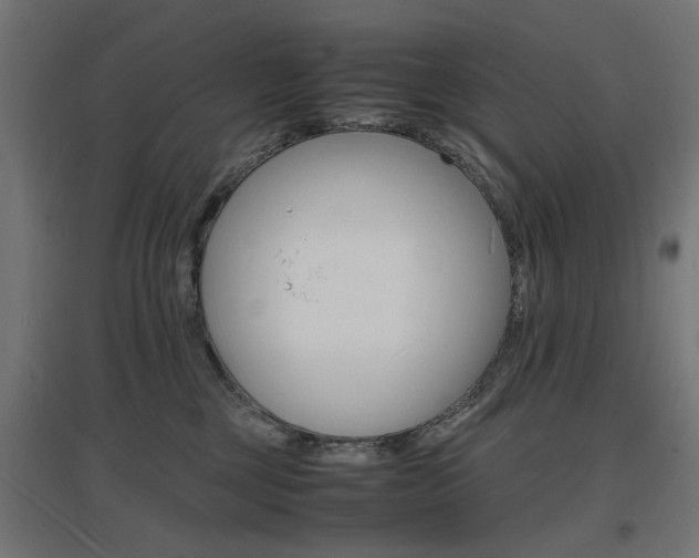 X0000097620377200802290826