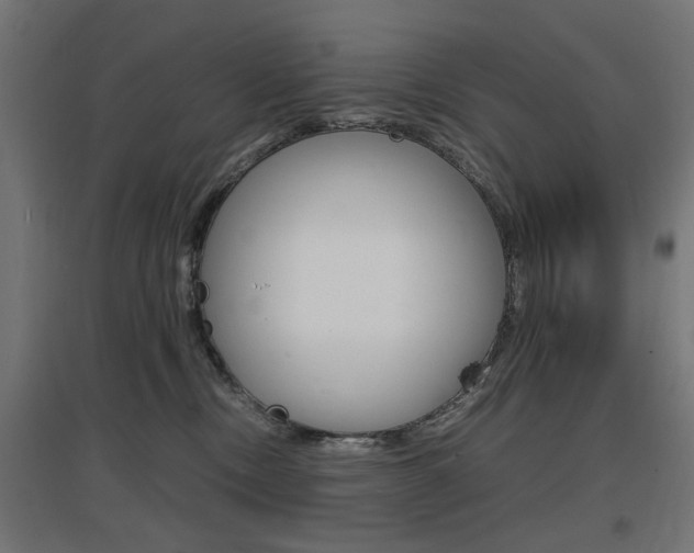 X0000097620378200802290826