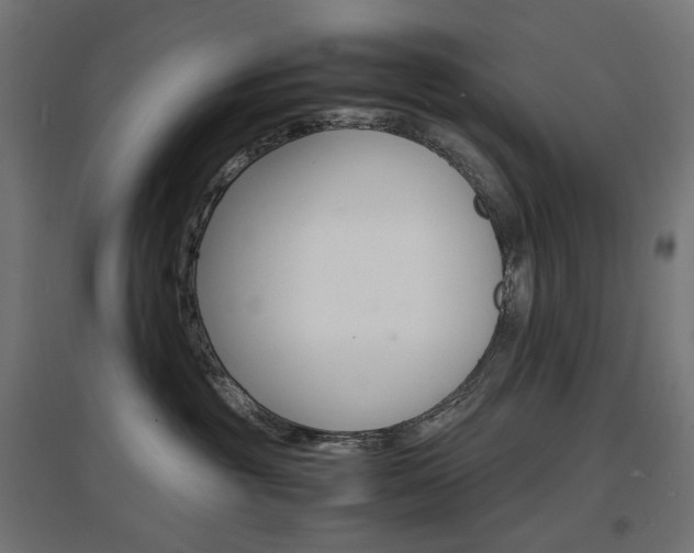 X0000097620381200802290826