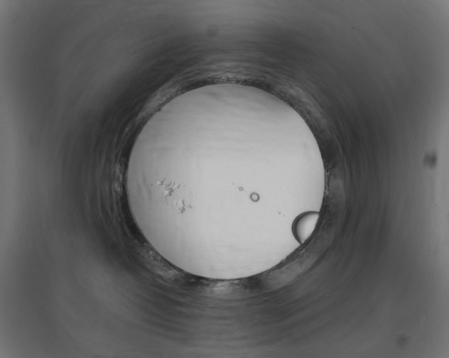 X0000097620382200802290826