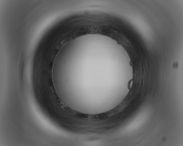 X0000097620383200802290826