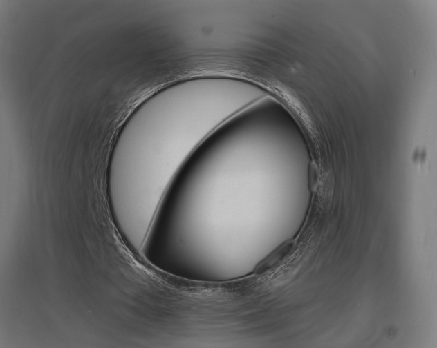 X0000097620385200802290825