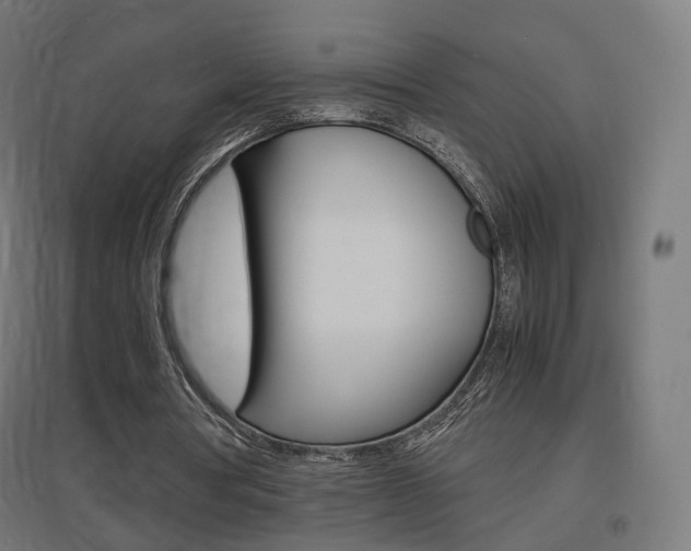 X0000097620386200802290825