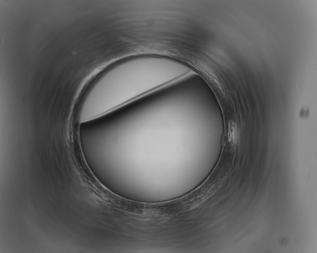 X0000097620388200802290825