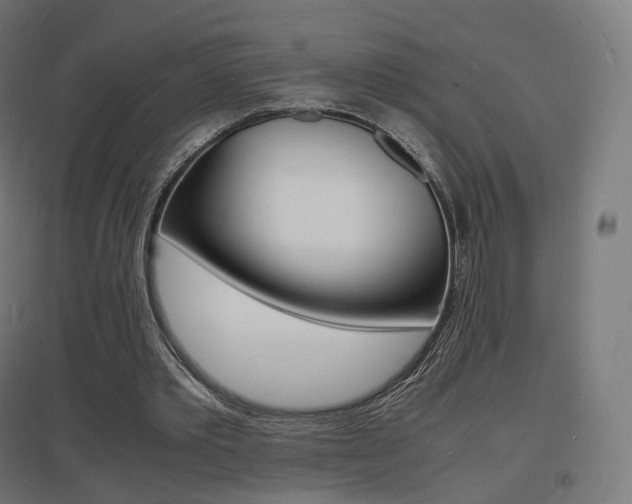 X0000097620389200802290825