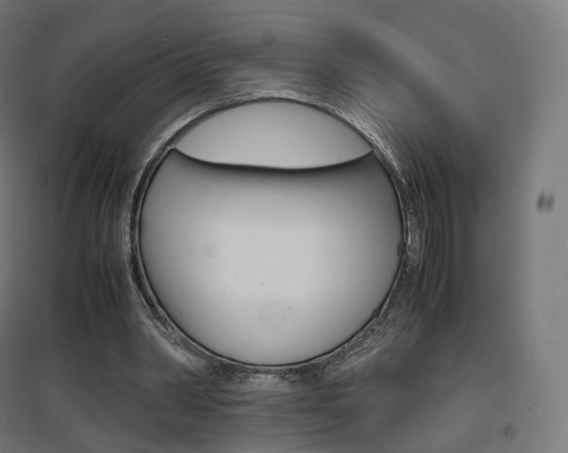 X0000097620390200802290825