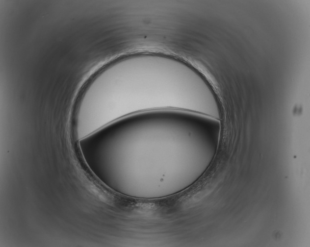 X0000097620391200802290825