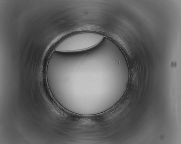 X0000097620392200802290825