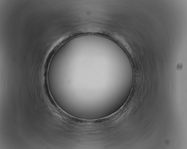 X0000097620395200802290825