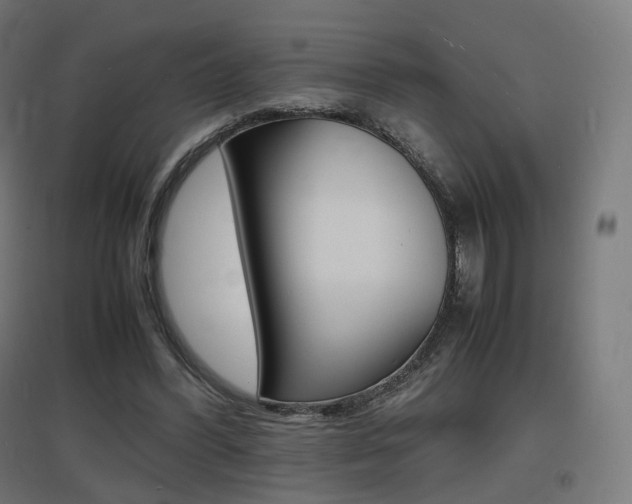 X0000097620396200802290825