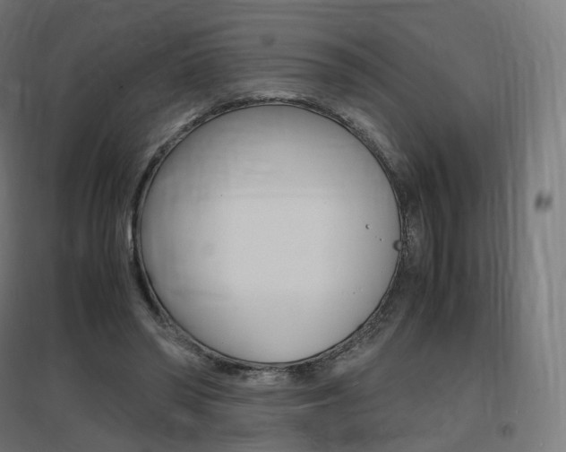 X0000097620398200802290825