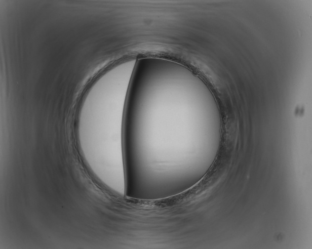 X0000097620399200802290825