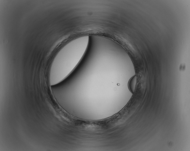 X0000097620400200802290825