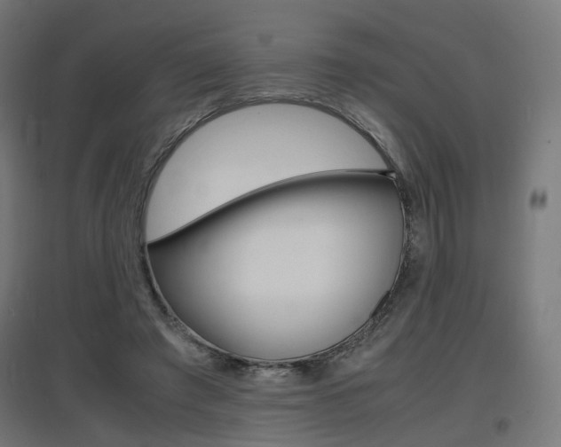 X0000097620401200802290825