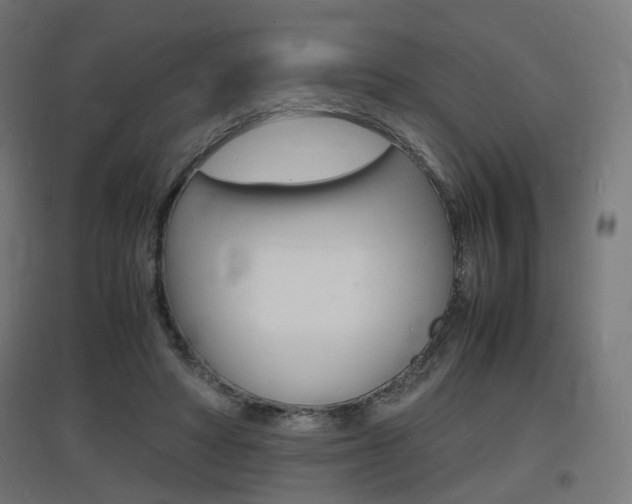X0000097620402200802290825