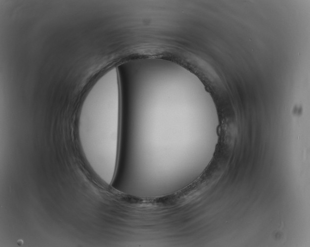 X0000097620404200802290825
