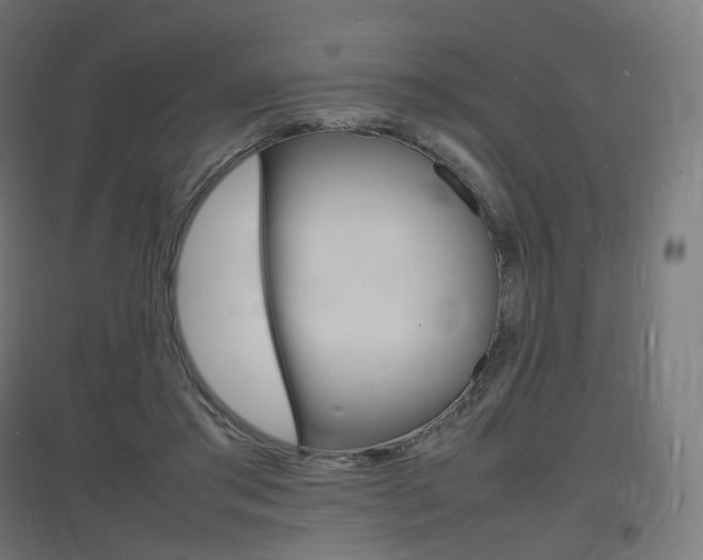 X0000097620405200802290825