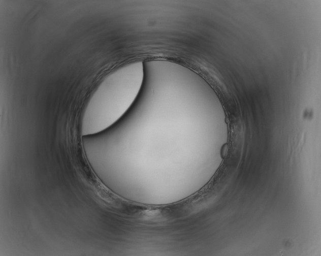 X0000097620406200802290825