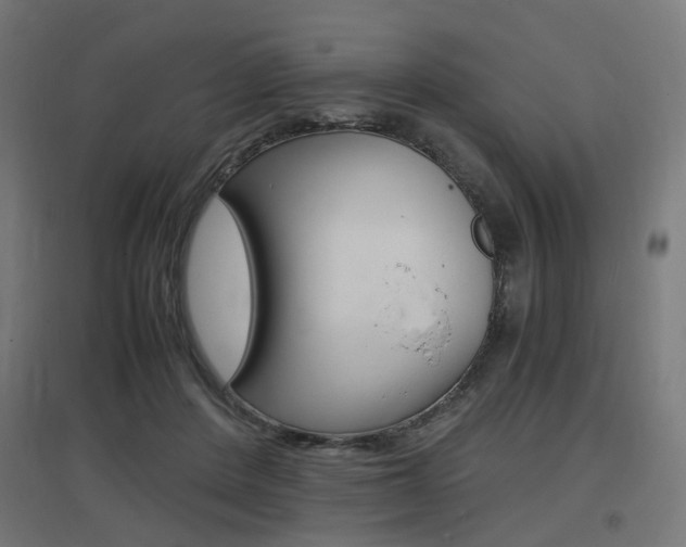 X0000097620408200802290825