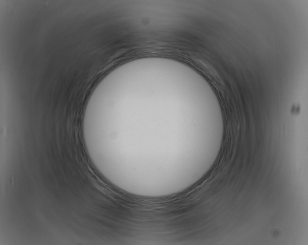 X0000097620409200802290825