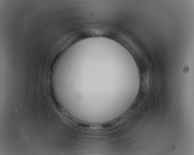 X0000097620410200802290825