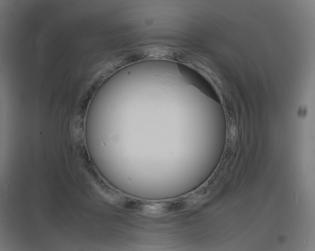 X0000097620411200802290825