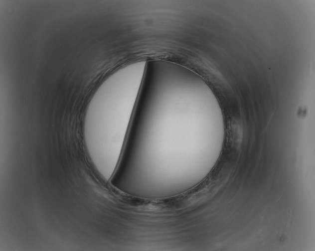 X0000097620412200802290824