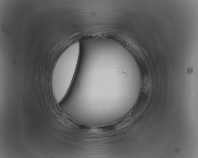 X0000097620413200802290824