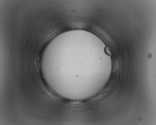 X0000097620414200802290824
